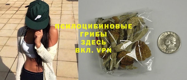 Альфа ПВП Новодвинск