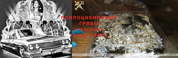 экстази Новокубанск