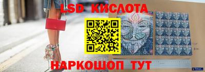 стаф Дубна