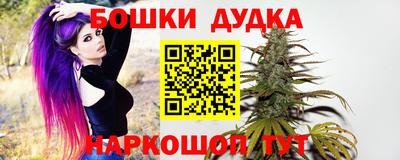 стаф Дубна