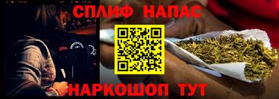 стаф Дубна