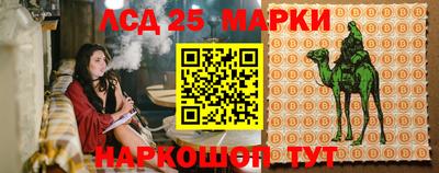 Альфа ПВП Донской