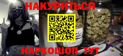 стаф Дубна