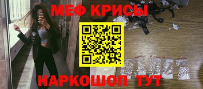 стаф Дубна