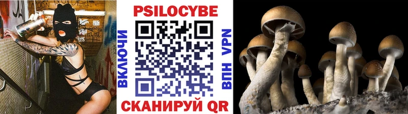 Псилоцибиновые грибы ЛСД  как найти наркотики  Кольчугино 