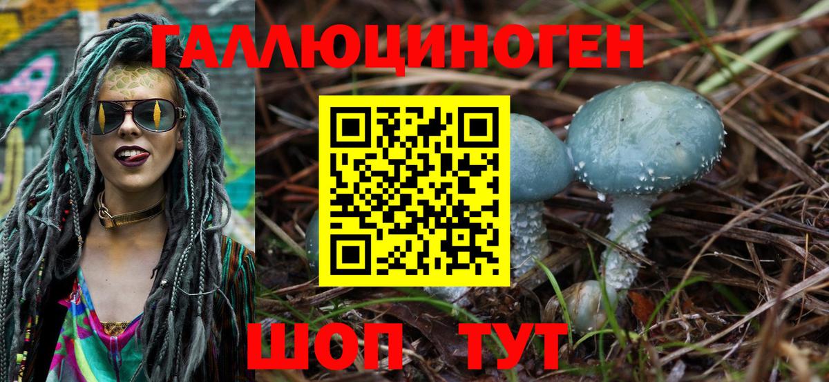 Галлюциногенные грибы Psilocybe Кольчугино