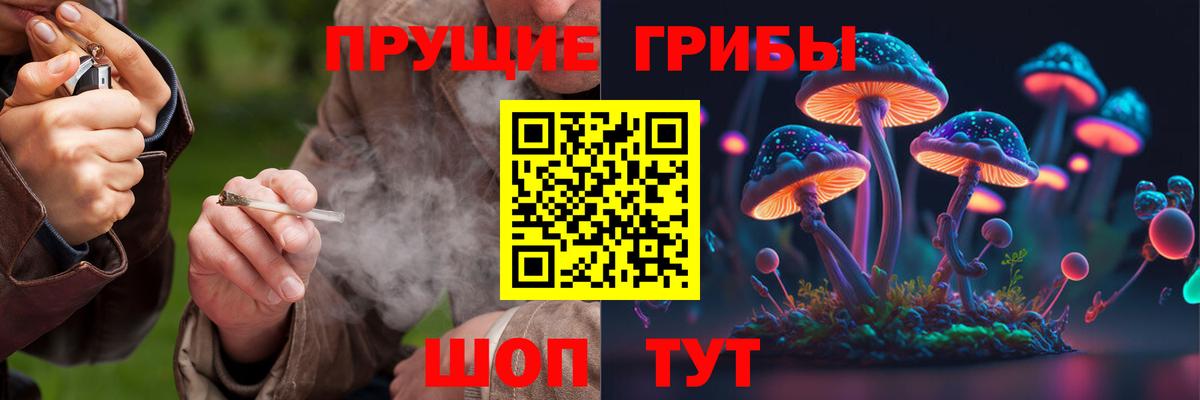 Кольчугино  Галлюциногенные грибы ЛСД  Вход с VPN 